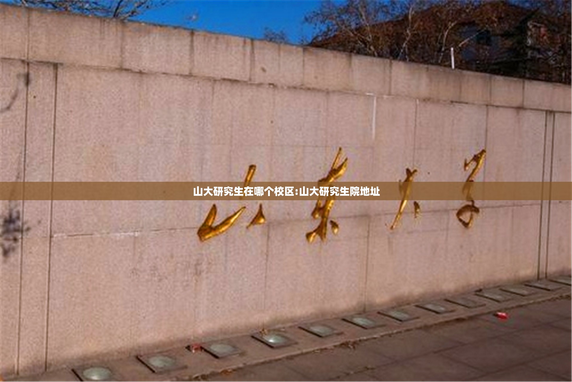 山大研究生在哪个校区:山大研究生院地址