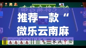 推荐一款“微乐云南麻将开挂教程”开挂(透视)最新辅助详细