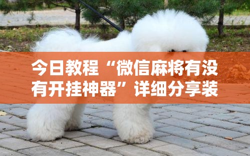 今日教程“微信麻将有没有开挂神器”详细分享装挂步骤