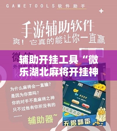辅助开挂工具“微乐湖北麻将开挂神器”开挂辅助脚本+详细开挂安装教程