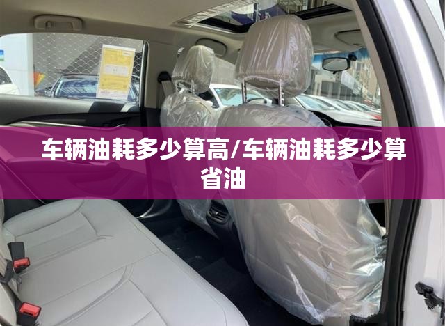 车辆油耗多少算高/车辆油耗多少算省油