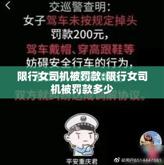 限行女司机被罚款:限行女司机被罚款多少