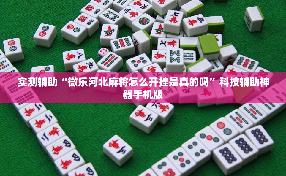 实测辅助“微乐河北麻将怎么开挂是真的吗	”科技辅助神器手机版