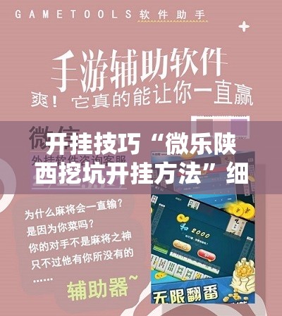 开挂技巧“微乐陕西挖坑开挂方法”细辅助教程分享
