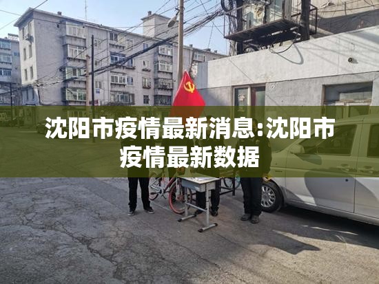 沈阳市疫情最新消息:沈阳市疫情最新数据