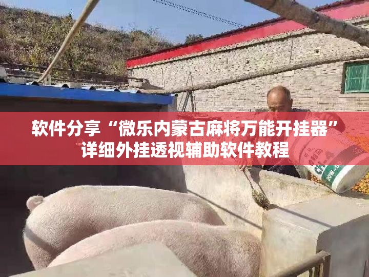 软件分享“微乐内蒙古麻将万能开挂器”详细外挂透视辅助软件教程