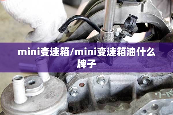 mini变速箱/mini变速箱油什么牌子 mini变速箱/mini变速箱油什么牌子