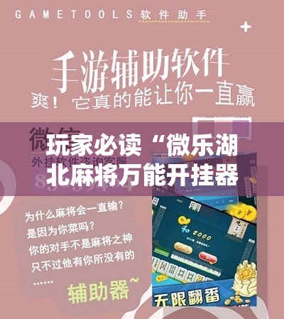 玩家必读“微乐湖北麻将万能开挂器”详细分享装挂步骤