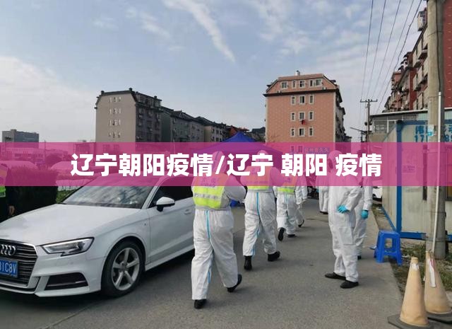 辽宁朝阳疫情/辽宁 朝阳 疫情