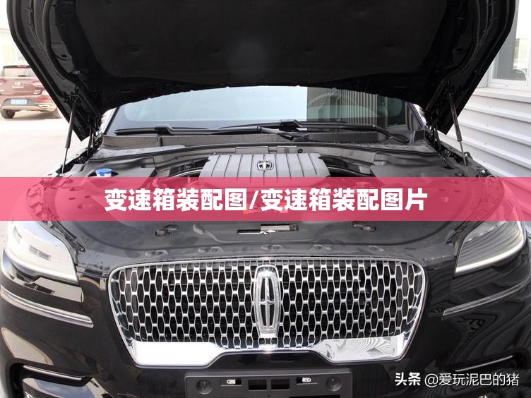 变速箱装配图/变速箱装配图片