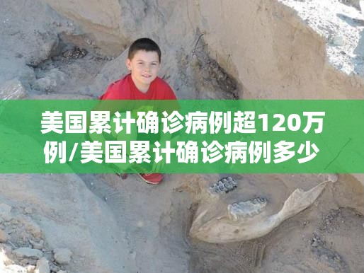 美国累计确诊病例超120万例/美国累计确诊病例多少 美国累计确诊病例超120万例/美国累计确诊病例多少
