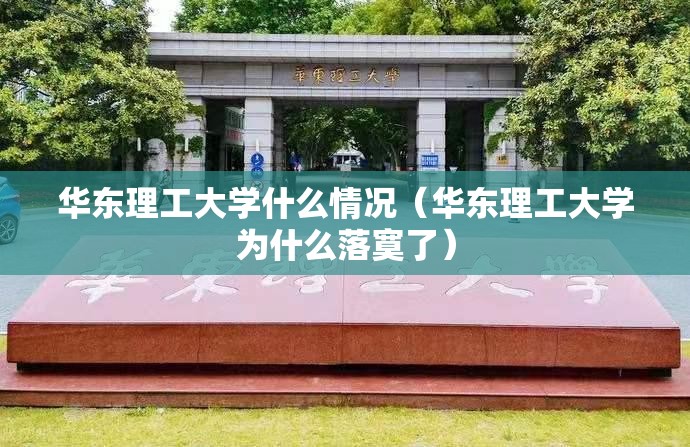 华东理工大学什么情况（华东理工大学为什么落寞了）