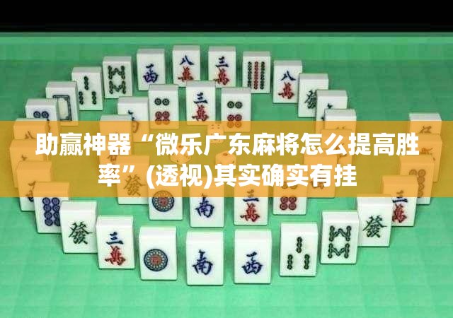 助赢神器“微乐广东麻将怎么提高胜率”(透视)其实确实有挂