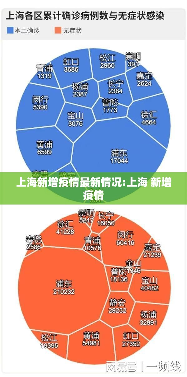 上海新增疫情最新情况:上海 新增疫情