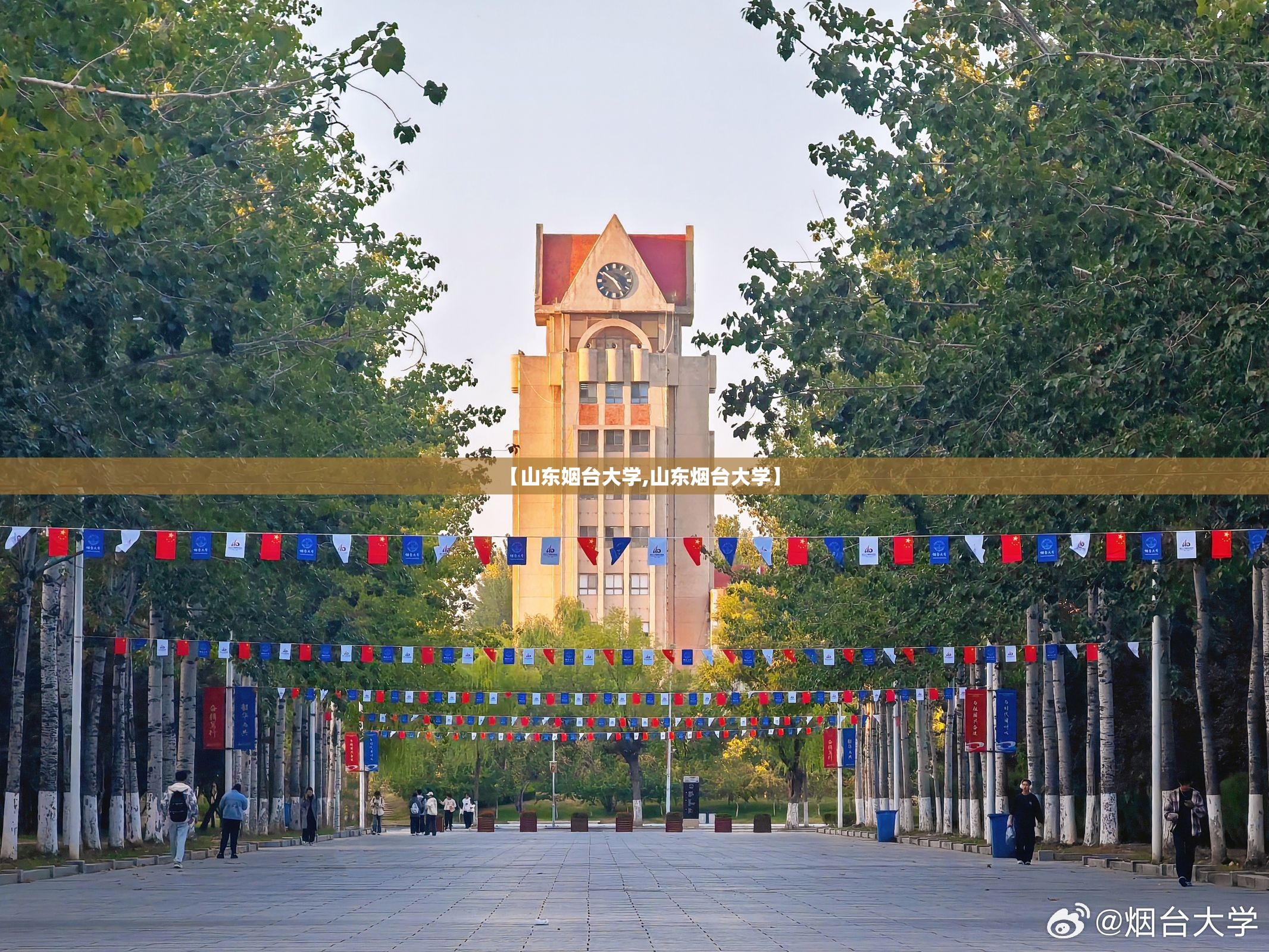 【山东姻台大学,山东烟台大学】