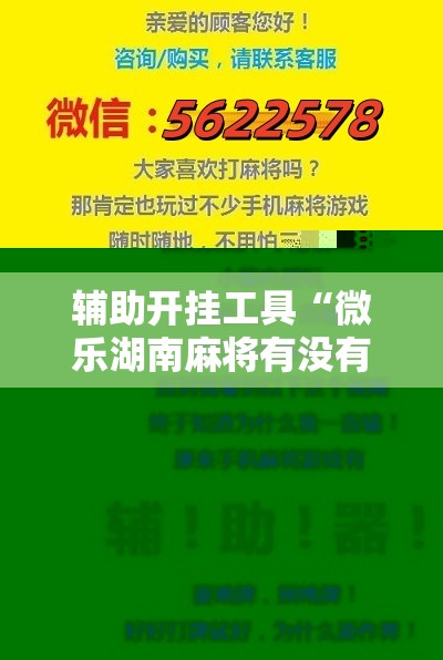辅助开挂工具“微乐湖南麻将有没有开挂神器多少钱”科技辅助神器手机版