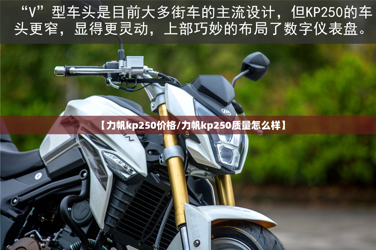 【力帆kp250价格/力帆kp250质量怎么样】