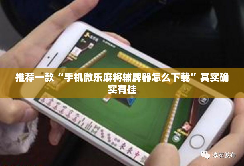 推荐一款“手机微乐麻将辅牌器怎么下载”其实确实有挂