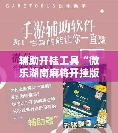 辅助开挂工具“微乐湖南麻将开挂版本软件”详细分享装挂步骤