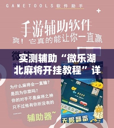 实测辅助“微乐湖北麻将开挂教程”详细开挂教程