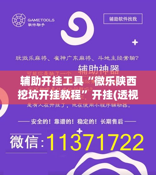 辅助开挂工具“微乐陕西挖坑开挂教程”开挂(透视)辅助神器