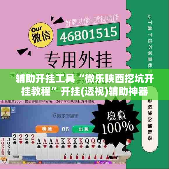 辅助开挂工具“微乐陕西挖坑开挂教程”开挂(透视)辅助神器