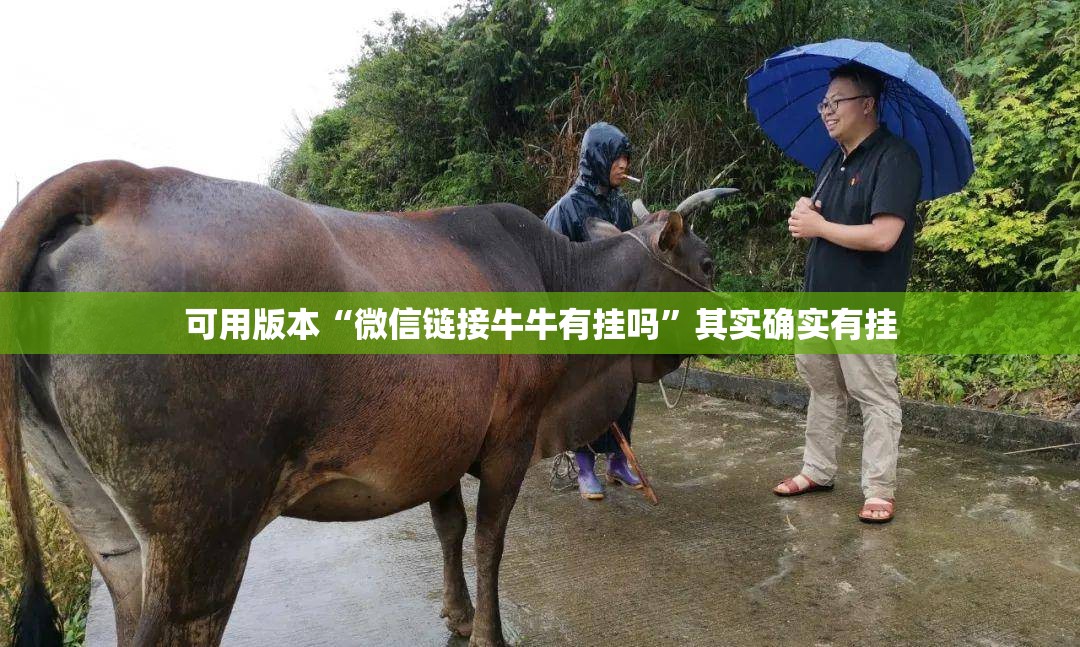 可用版本“微信链接牛牛有挂吗”其实确实有挂