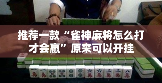 推荐一款“雀神麻将怎么打才会赢”原来可以开挂