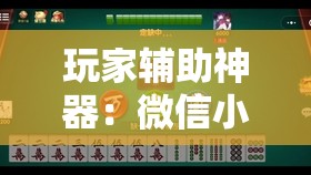玩家辅助神器：微信小程序微乐麻将开挂神器下载	”详细分享装挂步骤