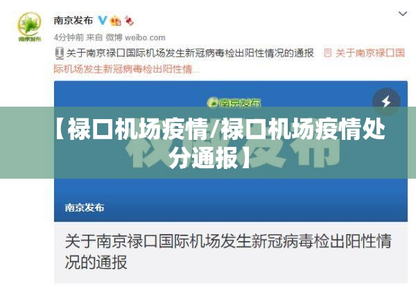 【禄口机场疫情/禄口机场疫情处分通报】