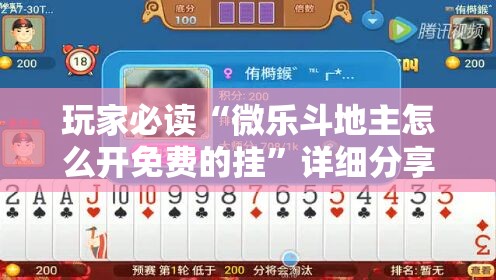 玩家必读“微乐斗地主怎么开免费的挂	”详细分享装挂步骤