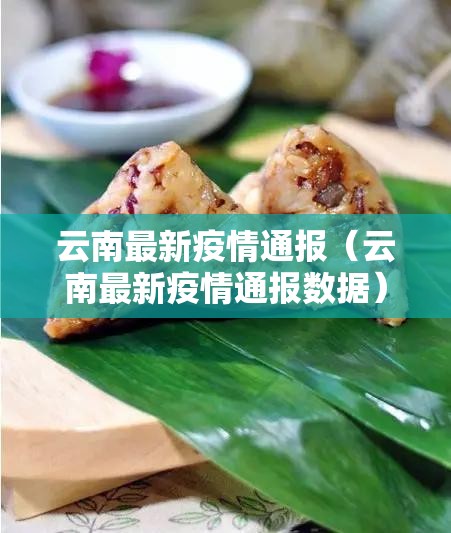 云南最新疫情通报（云南最新疫情通报数据）
