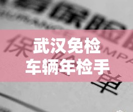 武汉免检车辆年检手续（武汉免检车辆年检手续流程）