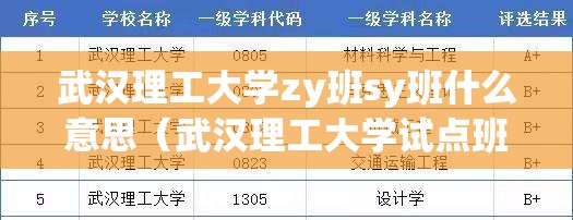 武汉理工大学zy班sy班什么意思(武汉理工大学试点班) 武汉理工大学zy班sy班什么意思(武汉理工大学试点班)