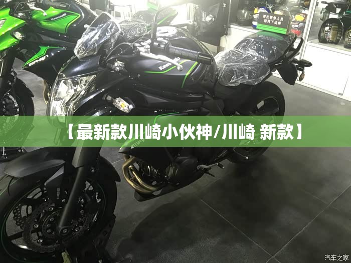 【最新款川崎小伙神/川崎 新款】 【最新款川崎小伙神/川崎 新款】