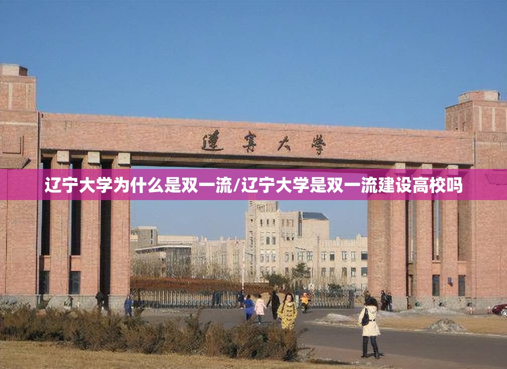 辽宁大学为什么是双一流/辽宁大学是双一流建设高校吗