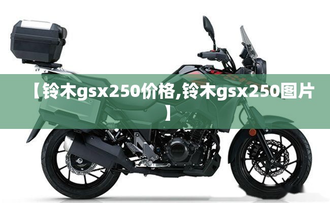 【铃木gsx250价格,铃木gsx250图片】