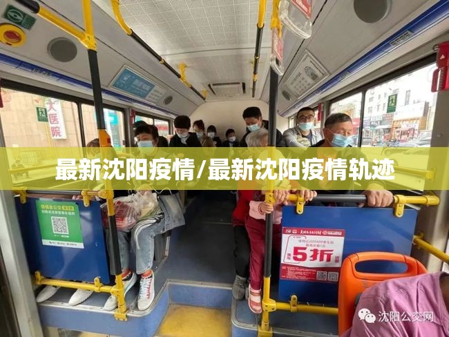 最新沈阳疫情/最新沈阳疫情轨迹