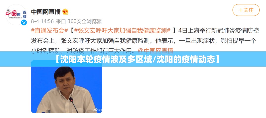 【沈阳本轮疫情波及多区域/沈阳的疫情动态】