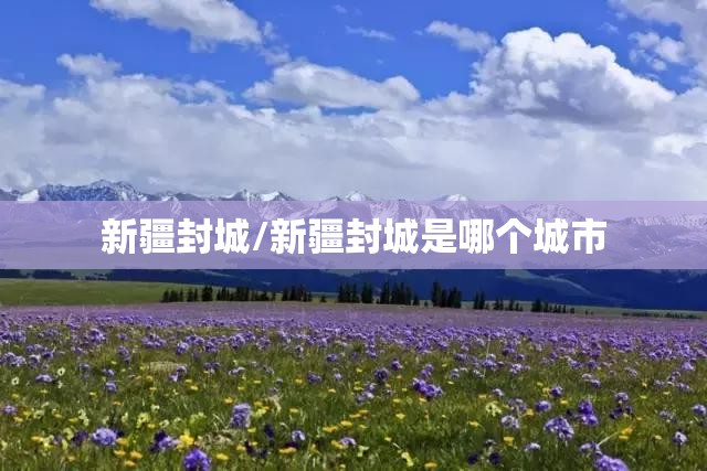 新疆封城/新疆封城是哪个城市