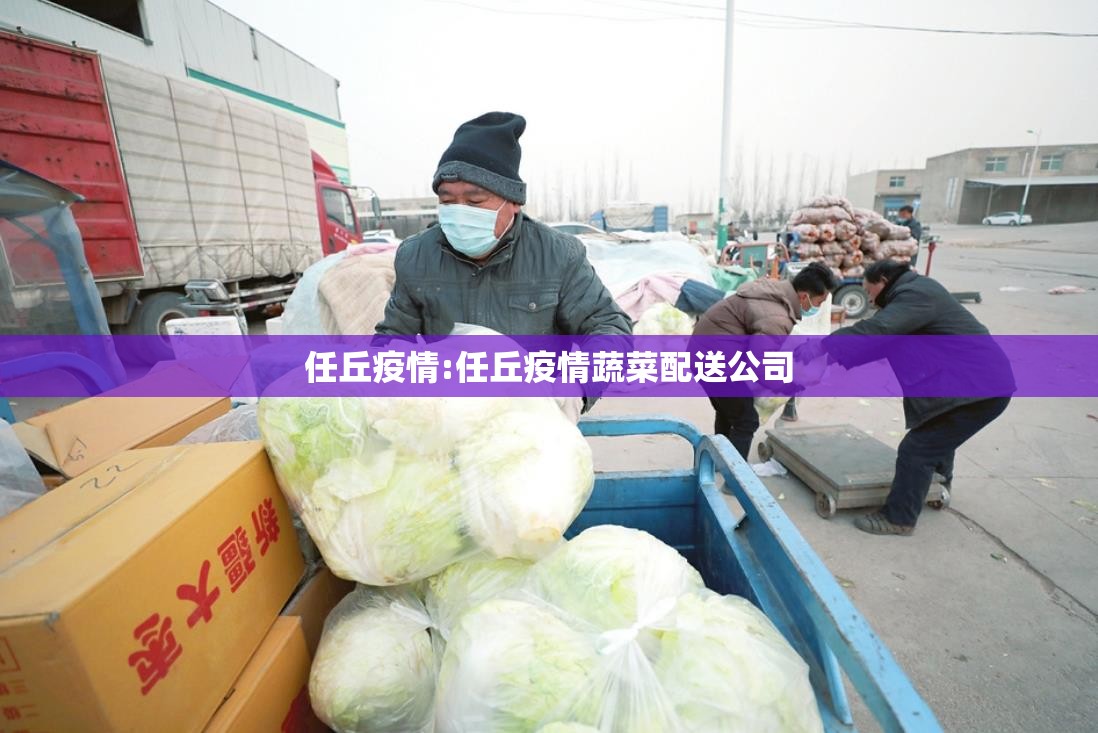 任丘疫情:任丘疫情蔬菜配送公司