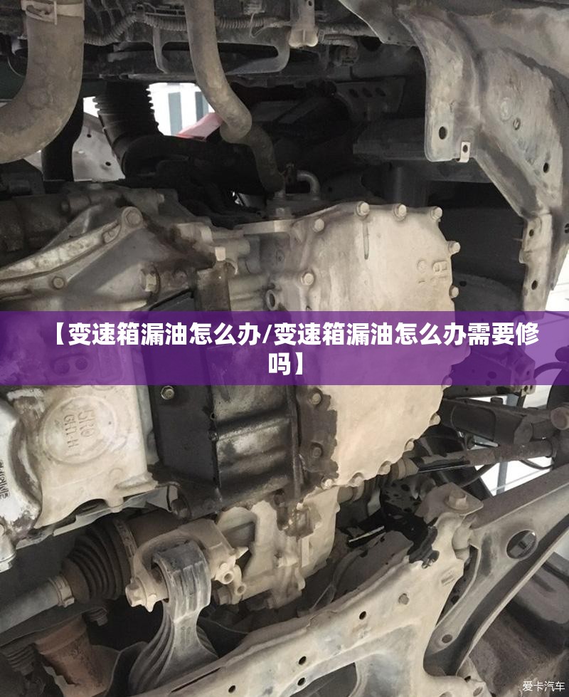 【变速箱漏油怎么办/变速箱漏油怎么办需要修吗】