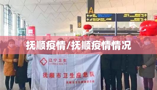 抚顺疫情/抚顺疫情情况