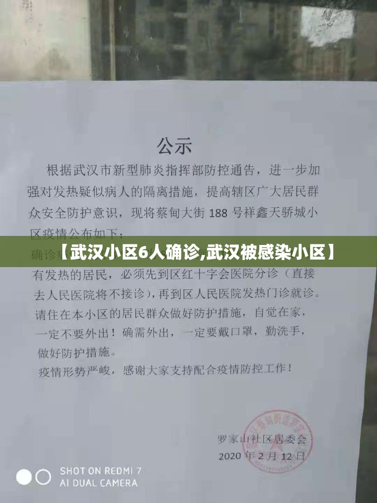 【武汉小区6人确诊,武汉被感染小区】