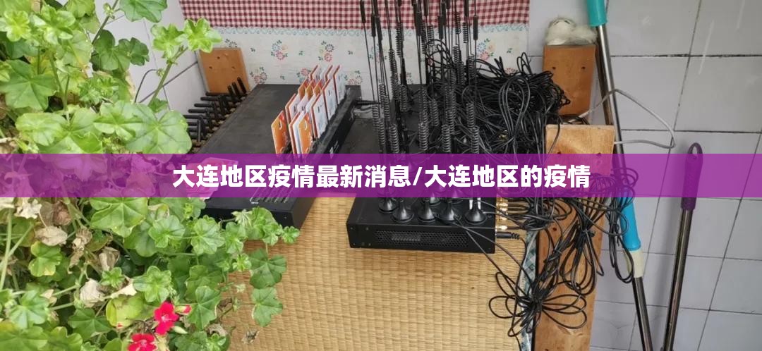 大连地区疫情最新消息/大连地区的疫情