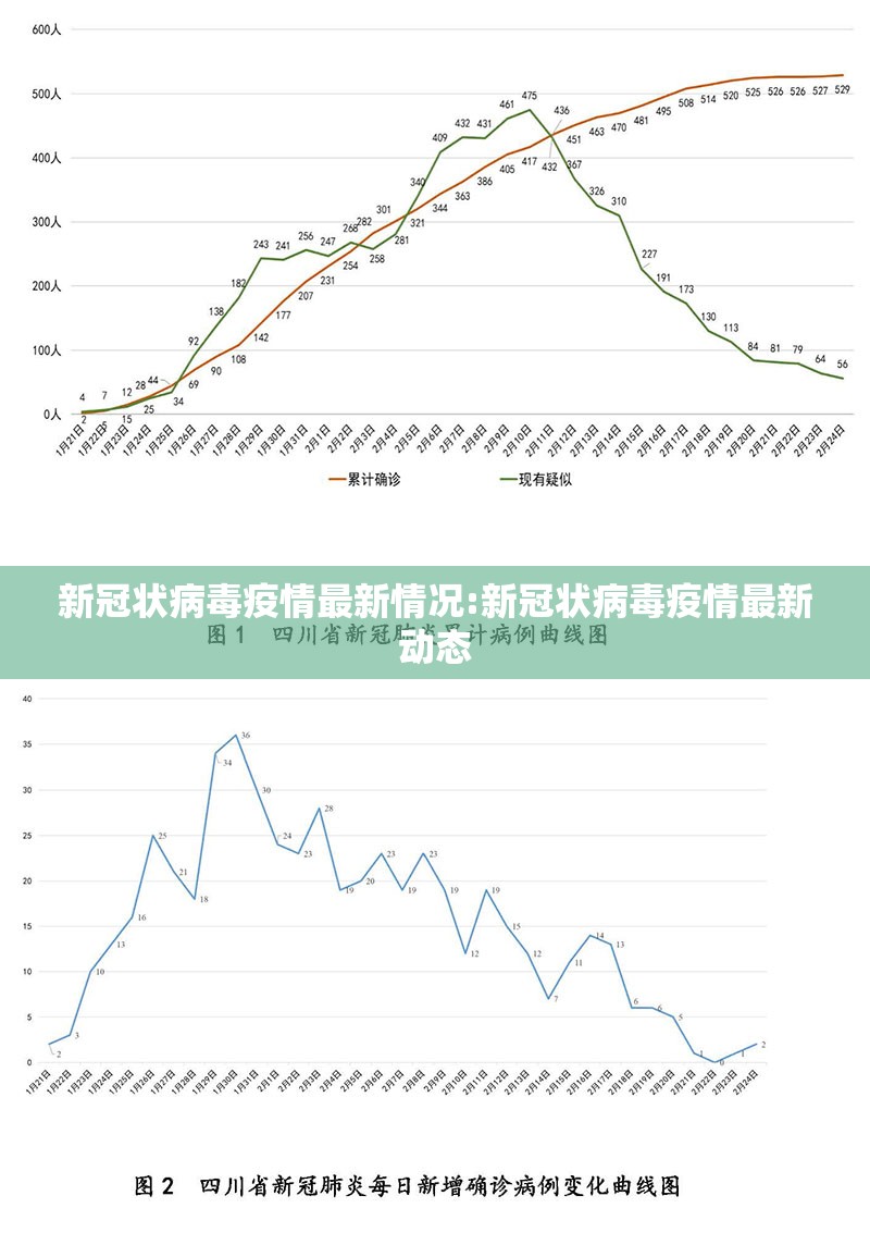 新冠状病毒疫情最新情况:新冠状病毒疫情最新动态