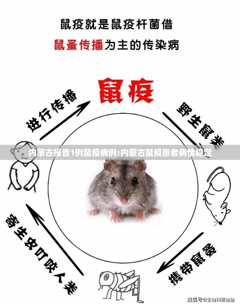 内蒙古报告1例鼠疫病例:内蒙古鼠疫患者病情稳定