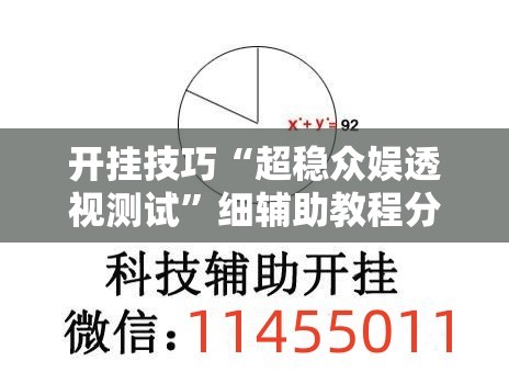开挂技巧“超稳众娱透视测试”细辅助教程分享