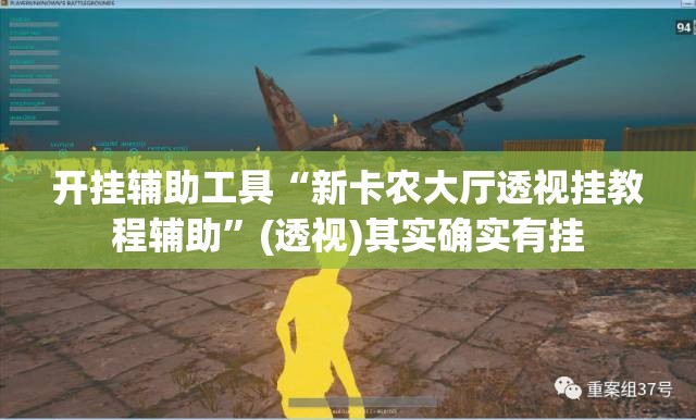 开挂辅助工具“新卡农大厅透视挂教程辅助”(透视)其实确实有挂