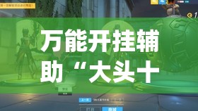 万能开挂辅助“大头十三水外卦辅助神器”(透视挂)辅助下载教程